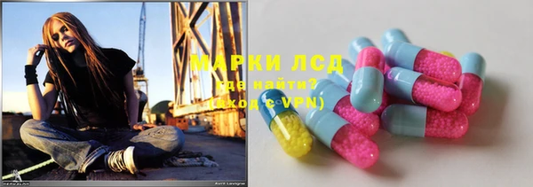 индика Аркадак