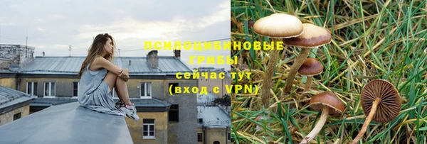 МДПВ Алзамай