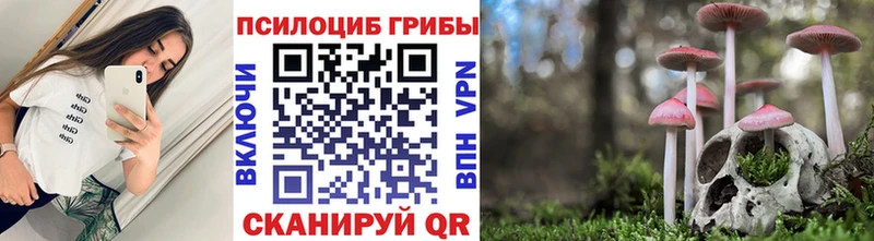 закладки  Аша  Галлюциногенные грибы GOLDEN TEACHER 